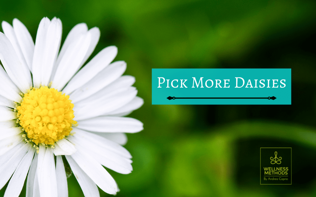 Pick More Daisies