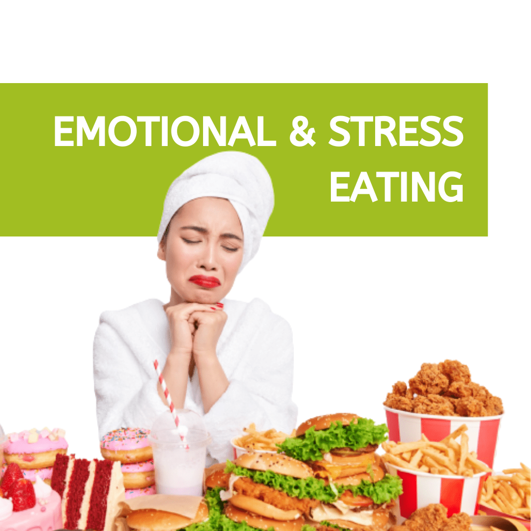 holistic health blog