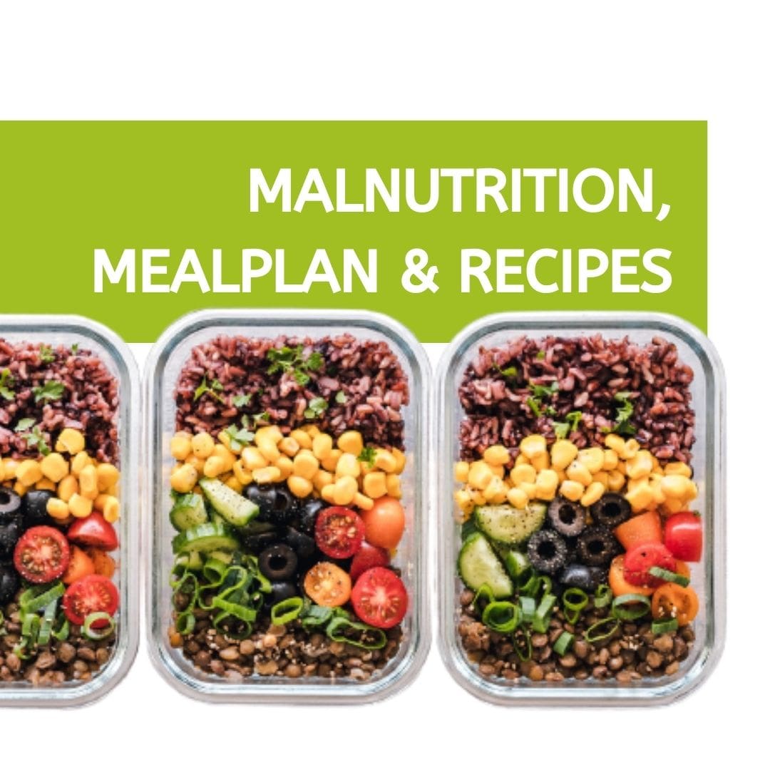 holistic health blog