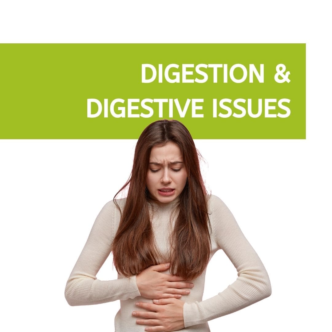 holistic health blog