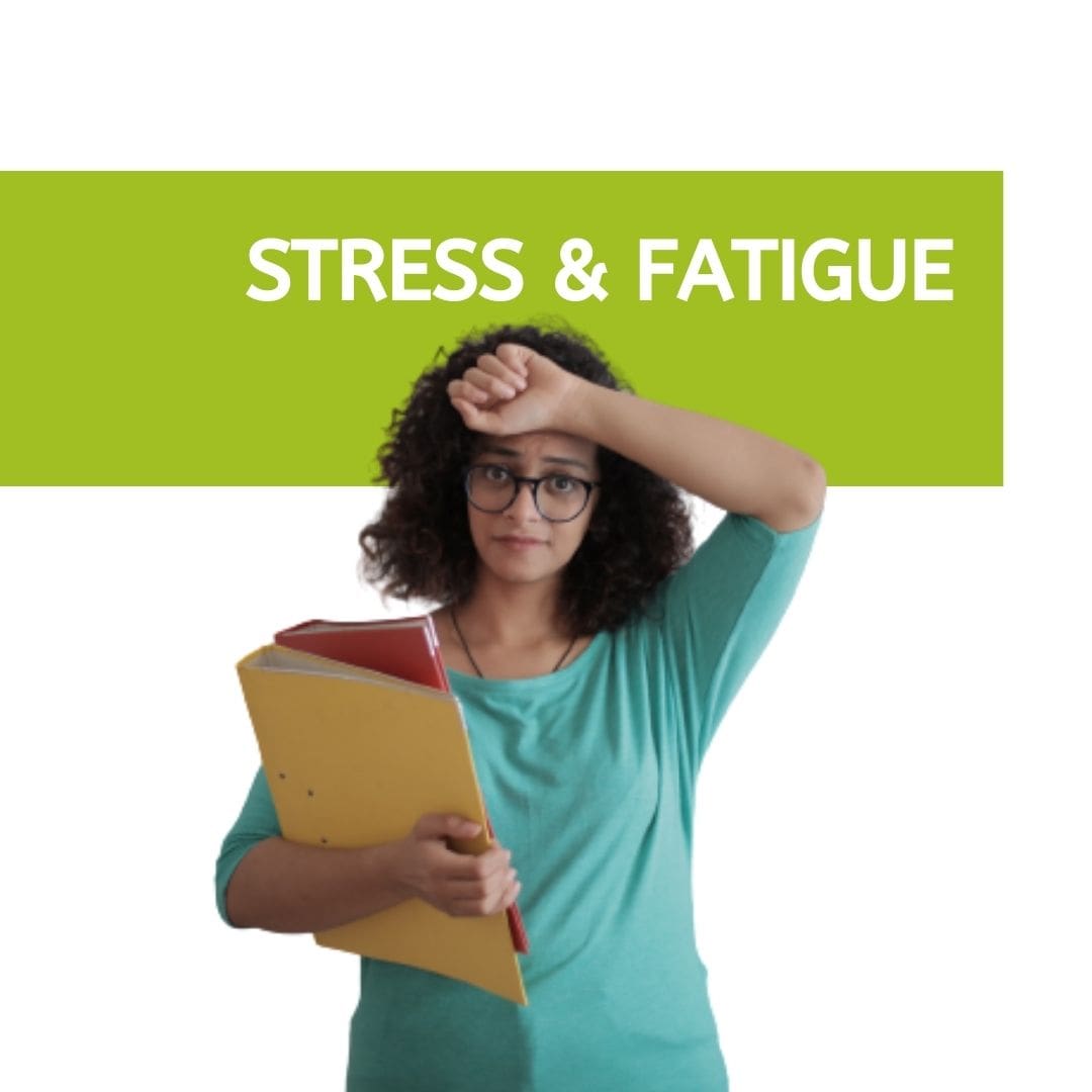 holistic health blog